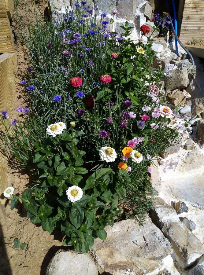 Fraisier, Artres - Valenciennes Homestay *